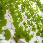 Casa Da Hera - The Ivy House * 포르투