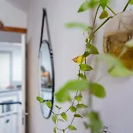 아파트 Casa Da Hera - The Ivy House