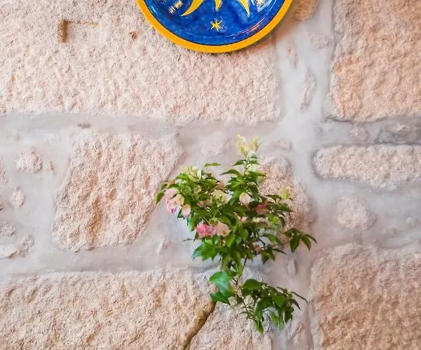 Casa Da Hera - The Ivy House