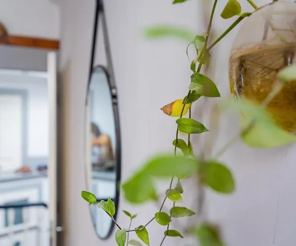 Apartment Casa Da Hera - The Ivy House