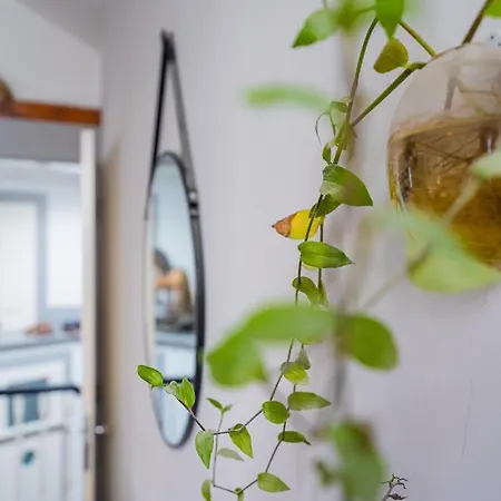 아파트 Casa Da Hera - The Ivy House